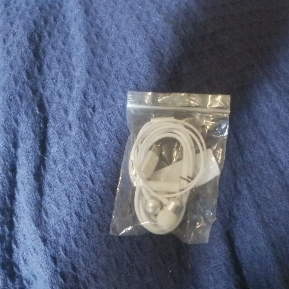 USB C Earbuds, White
